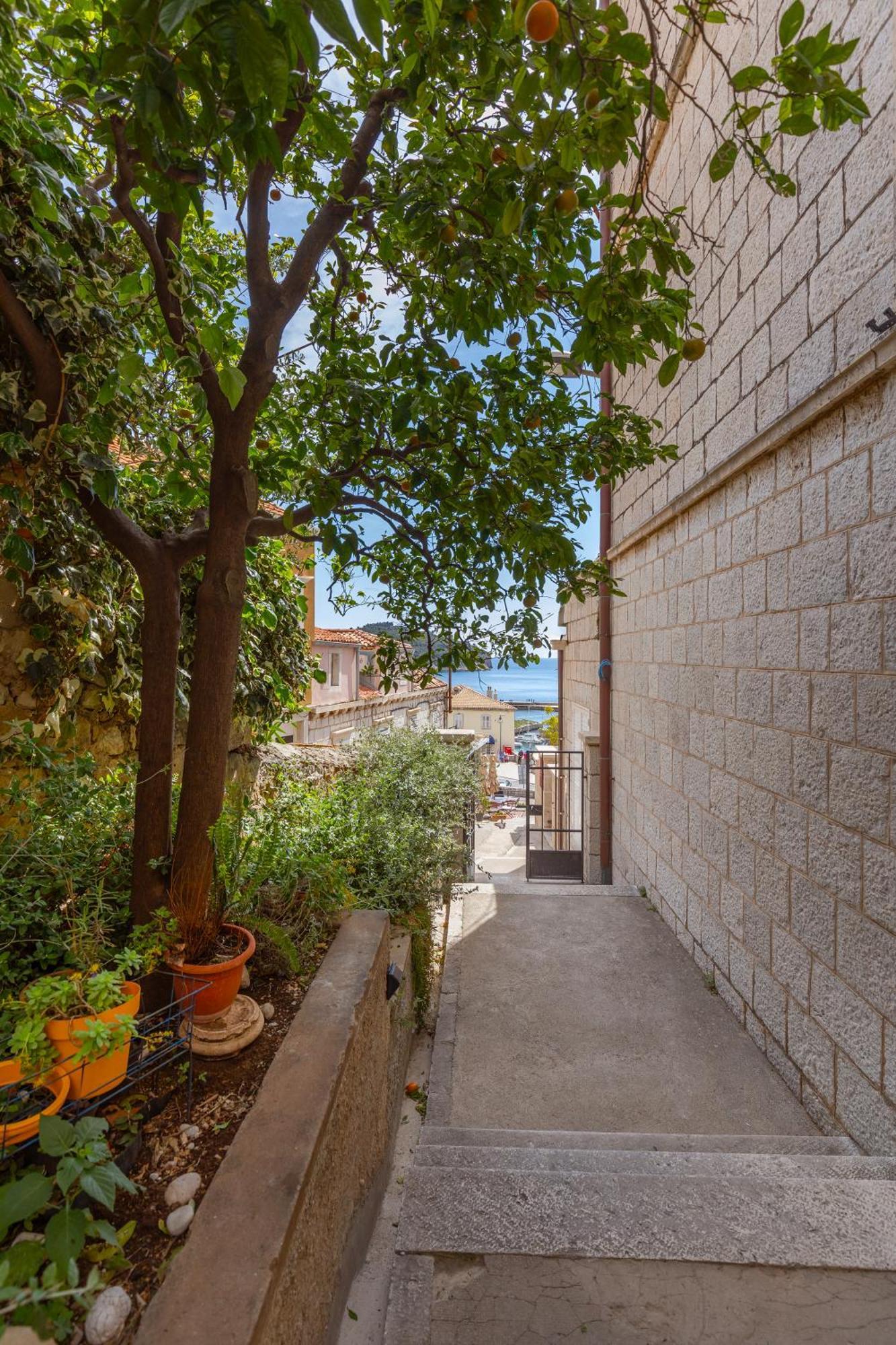 Ragusina Luxury Apartments Dubrovnik Exterior photo
